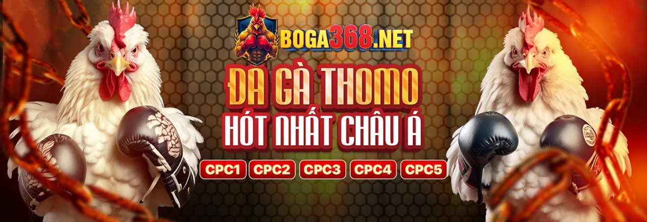 Chính sách quyền riêng tư k88cc casino