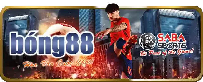 Minh bạch về thu thập và sử dụng thông tin tại K88CC Casino