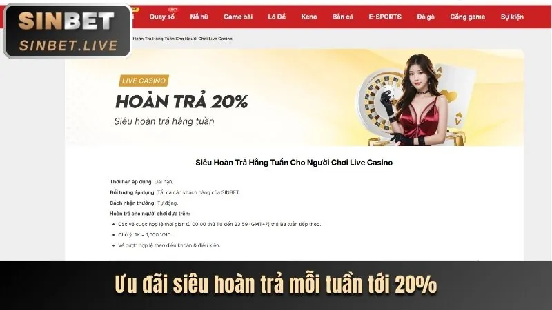 Hoàn Trả Casino Trực Tuyến 1.0%